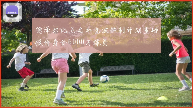 德泽尔比点名加克波热刺计划重磅报价身价6000万球员